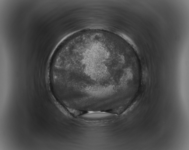 X0000083560976200703021714