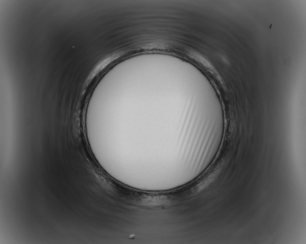 X0000083560978200703021714