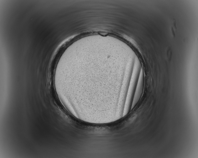 X0000083560979200703021714