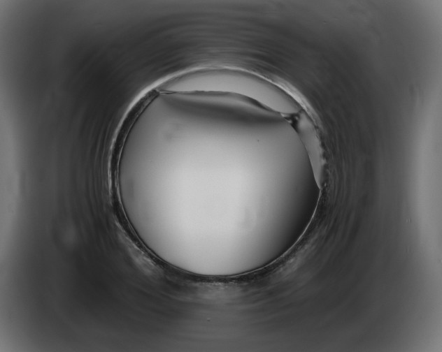 X0000083560980200703021714