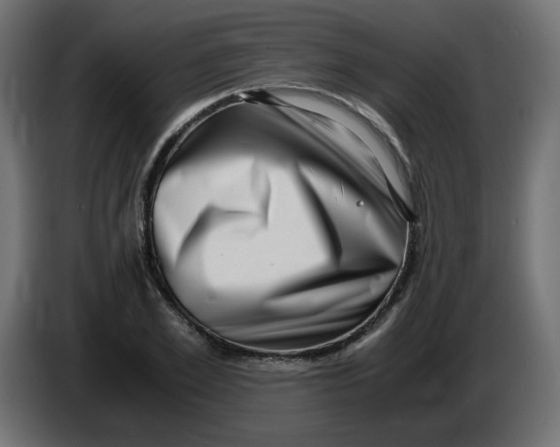 X0000083560981200703021714