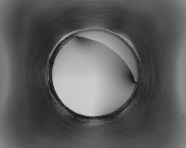 X0000083560984200703021714