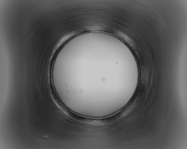 X0000083560986200703021714