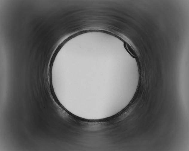 X0000083560988200703021714