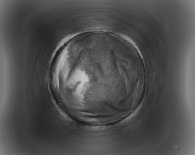 X0000083560989200703021714