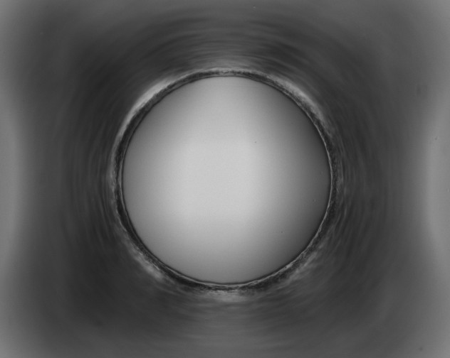 X0000083560990200703021713