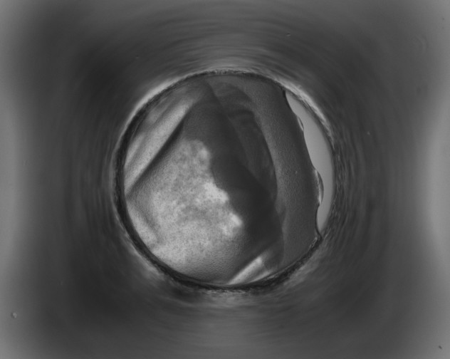 X0000083560991200703021713