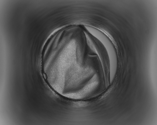 X0000083560992200703021713