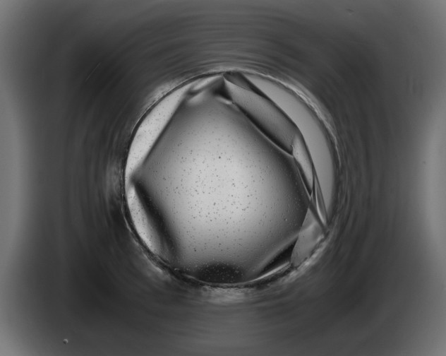 X0000083560993200703021713