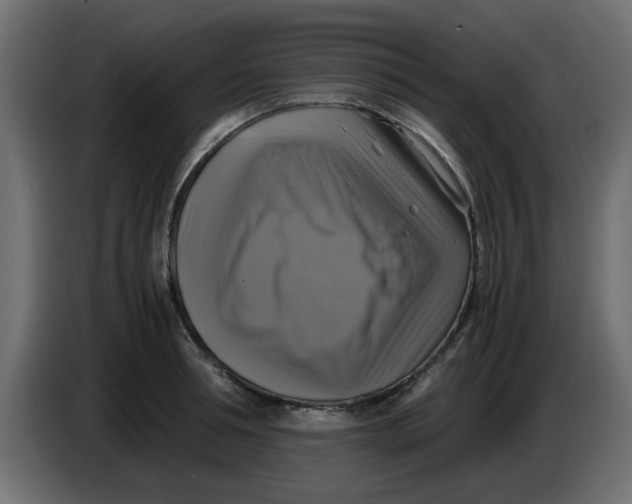 X0000083560994200703021713