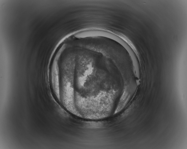 X0000083560996200703021713