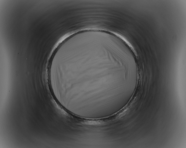 X0000083560998200703021713