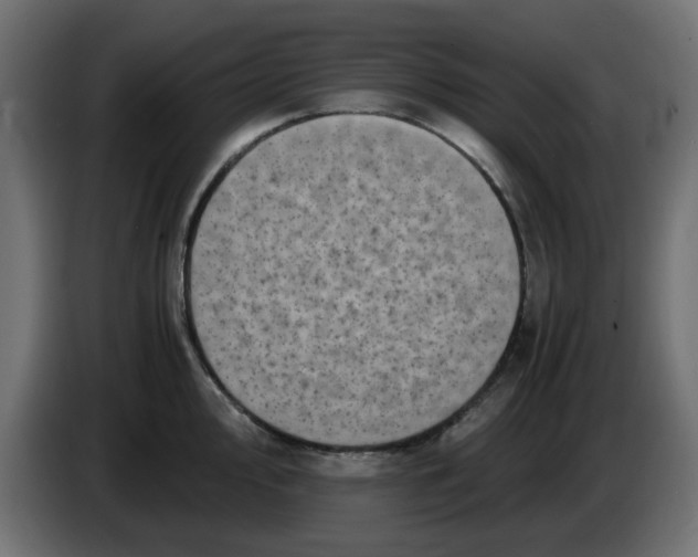 X0000083561000200703021713