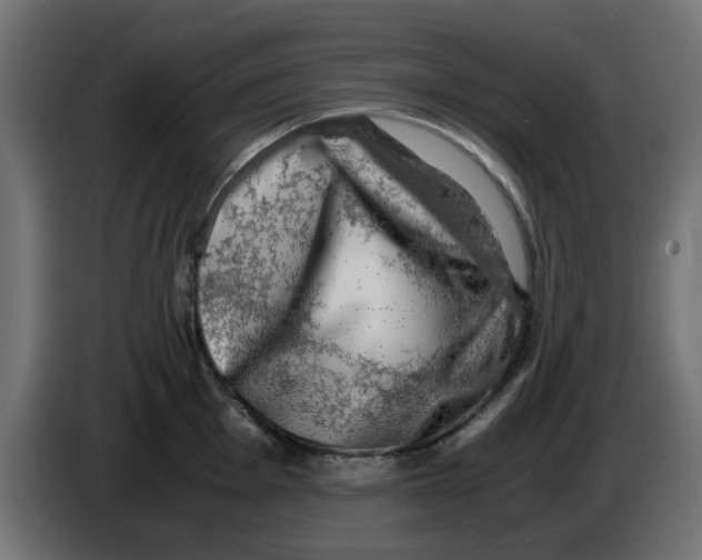 X0000083561001200703021713