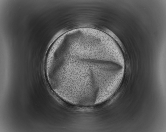 X0000083561002200703021713