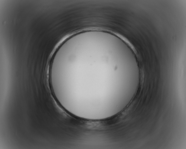 X0000083561006200703021713