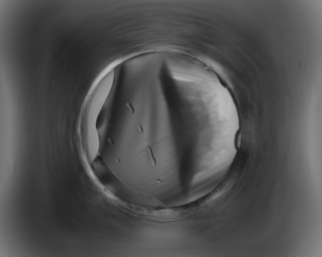 X0000083561007200703021713