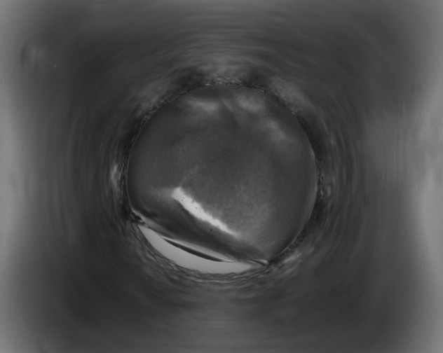 X0000083561010200703021712