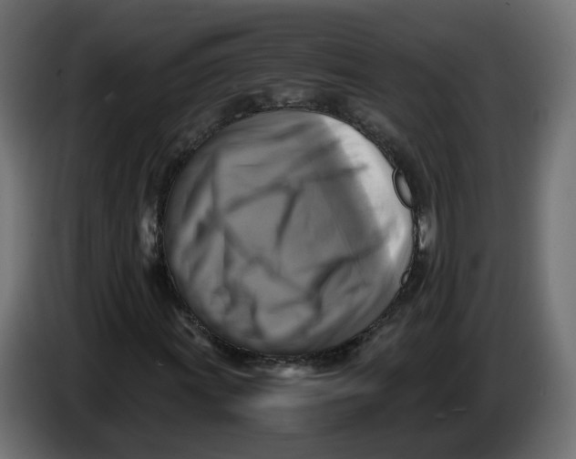 X0000083561011200703021712