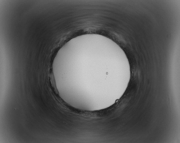 X0000083561012200703021712