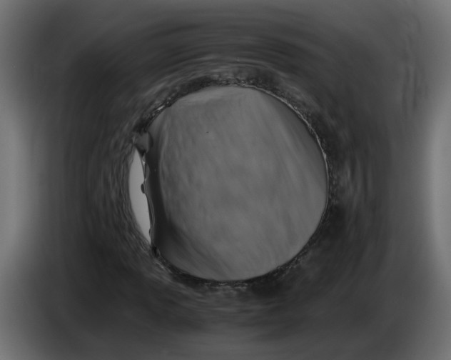 X0000083561013200703021712