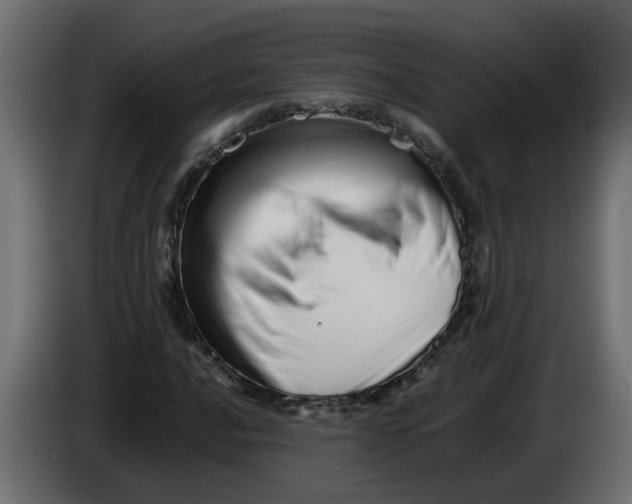 X0000083561016200703021712