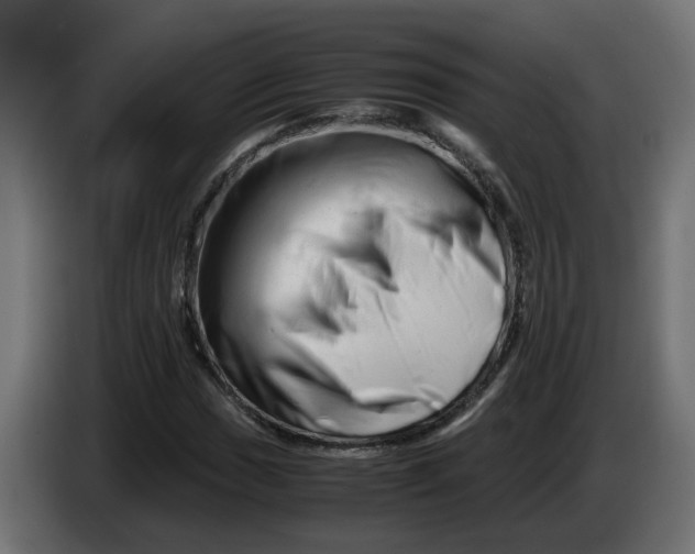 X0000083561017200703021712