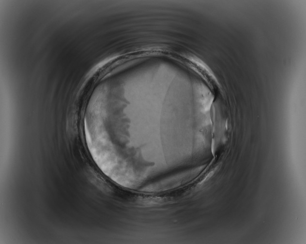 X0000083561019200703021712