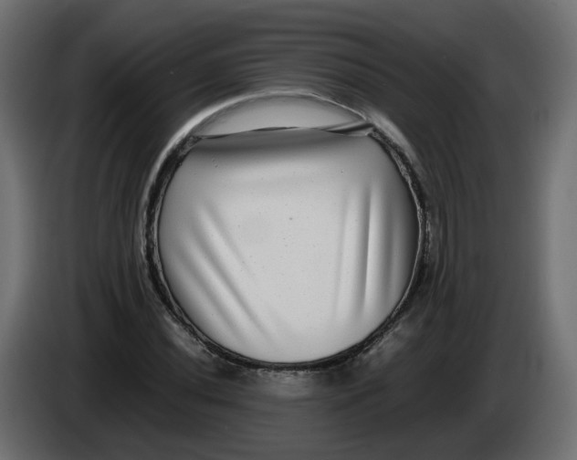 X0000083561020200703021712