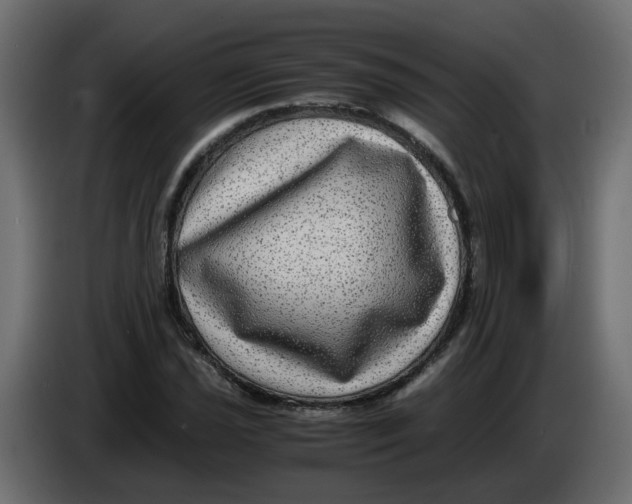 X0000083561021200703021713