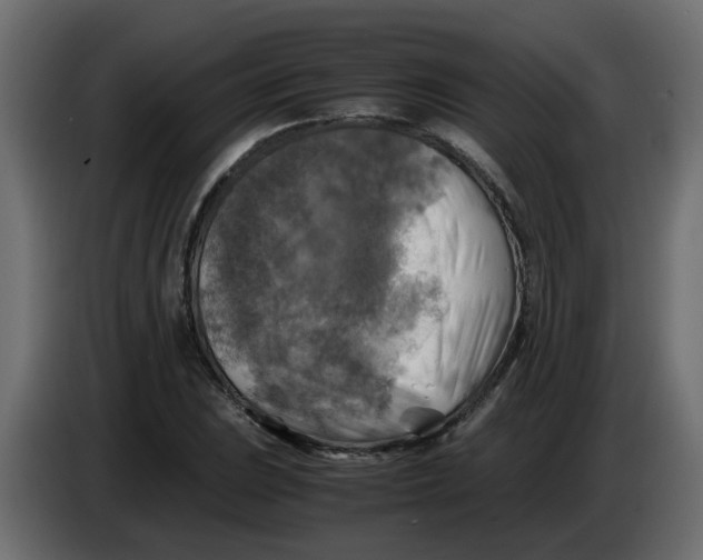 X0000083561023200703021713