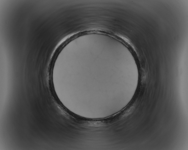 X0000083561024200703021713