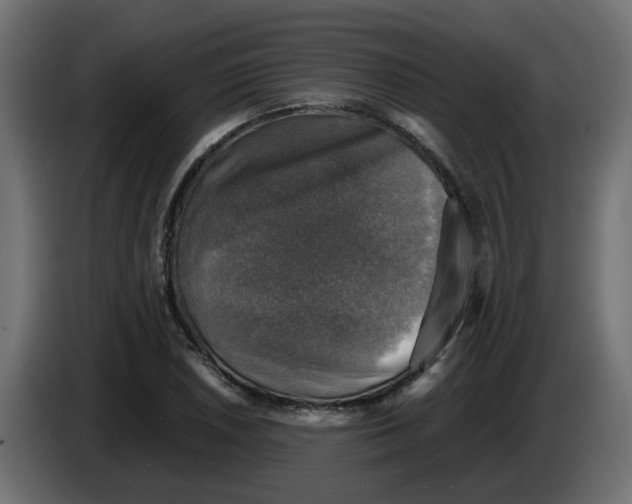 X0000083561026200703021713