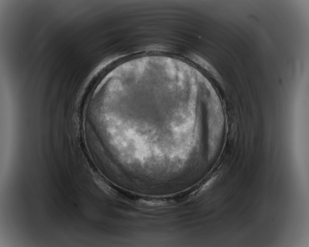 X0000083561027200703021713