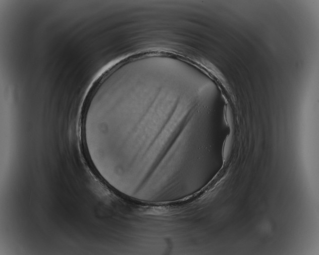 X0000083561028200703021713