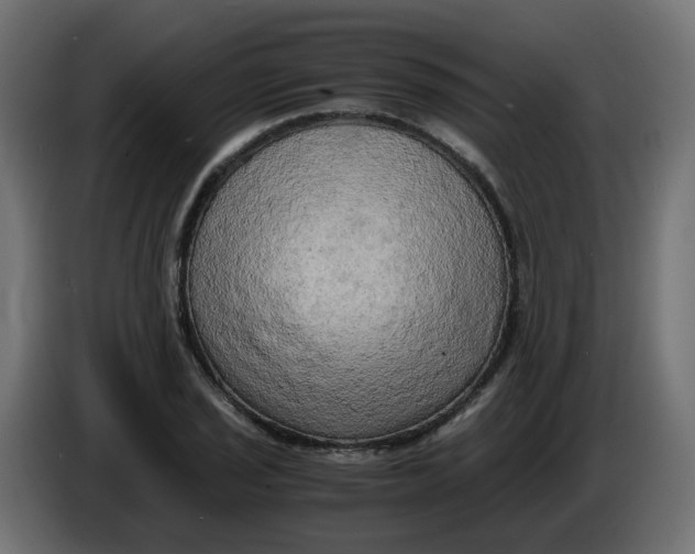 X0000083561029200703021713