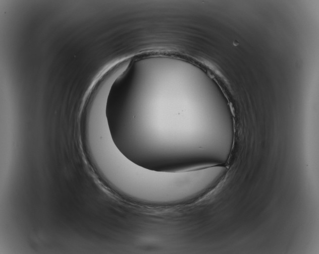 X0000083561030200703021713