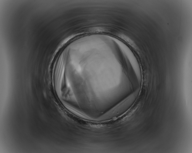 X0000083561031200703021713