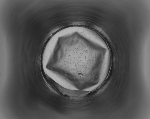 X0000083561033200703021713