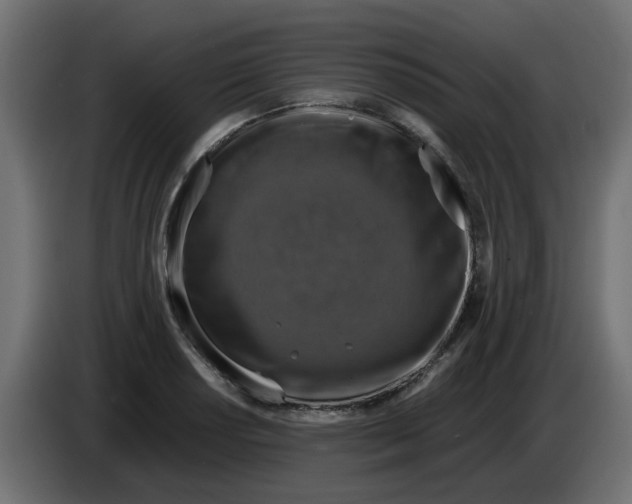 X0000083561034200703021713