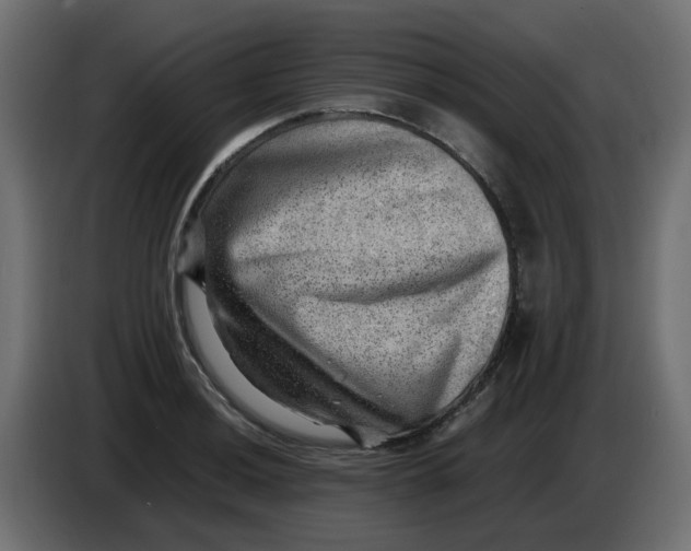 X0000083561036200703021713