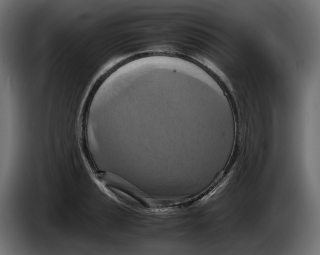 X0000083561037200703021713