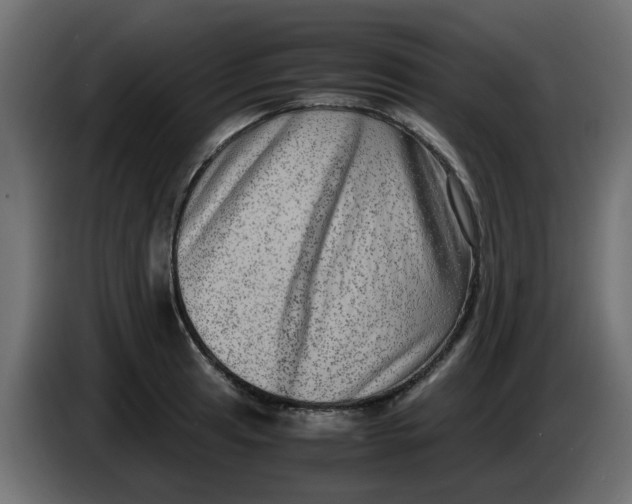 X0000083561041200703021713