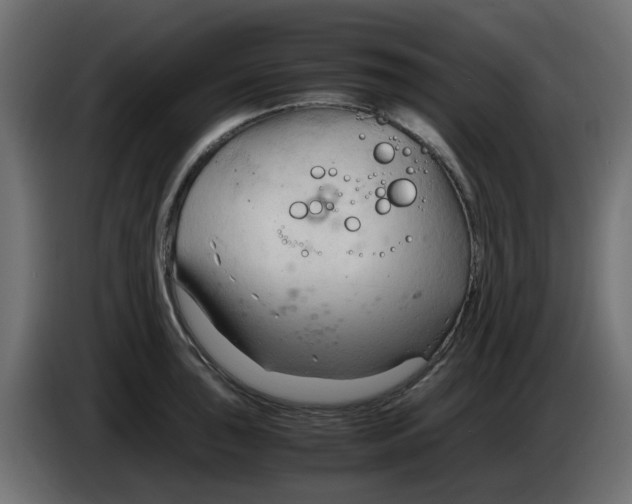 X0000083561043200703021713