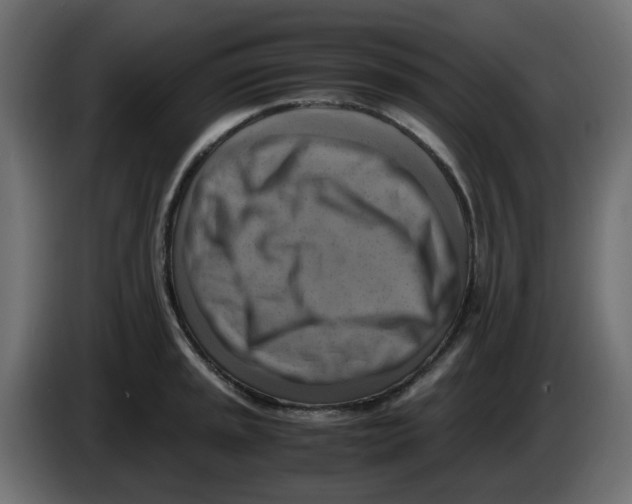 X0000083561045200703021713