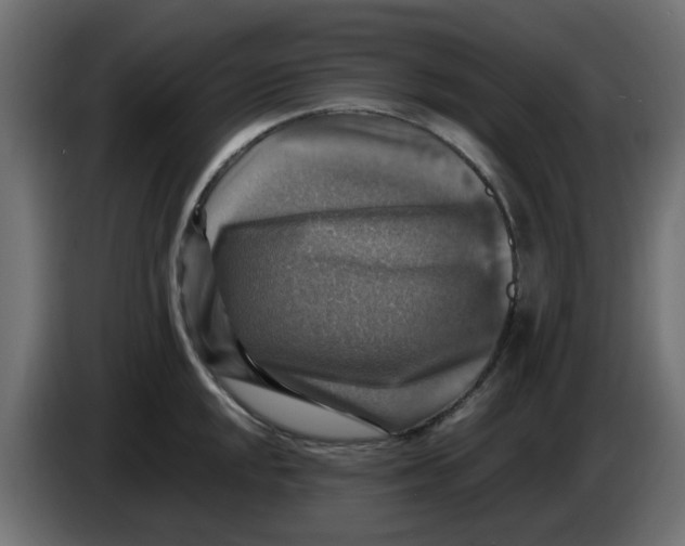 X0000083561048200703021713