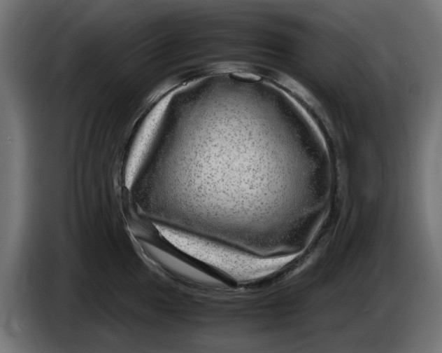 X0000083561049200703021713