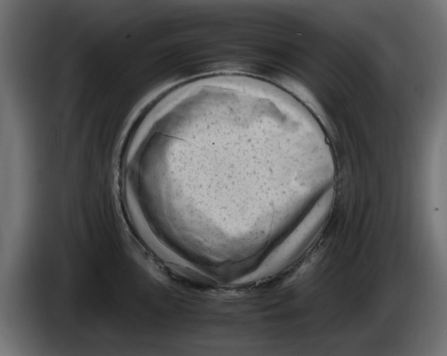 X0000083561051200703021713