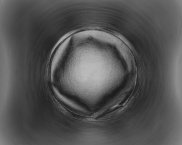 X0000083561052200703021713