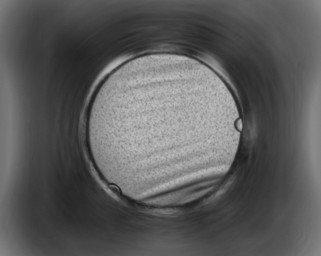 X0000083561053200703021713